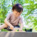 子育て世代におすすめできるシンボルツリー10選をご紹介